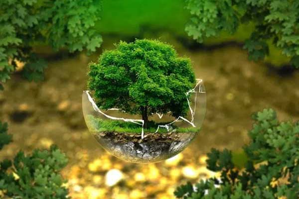 Servicios de Press pack e impresión