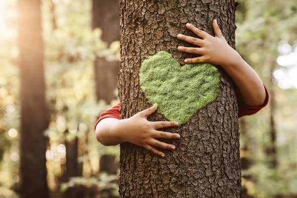 Servicios de camsell y empaquetados para alimentos